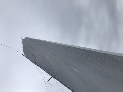 S2597 Grand-Voile M1